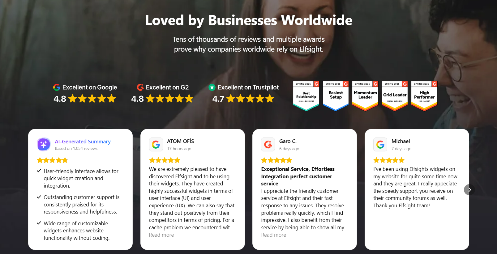 elfsight reviews