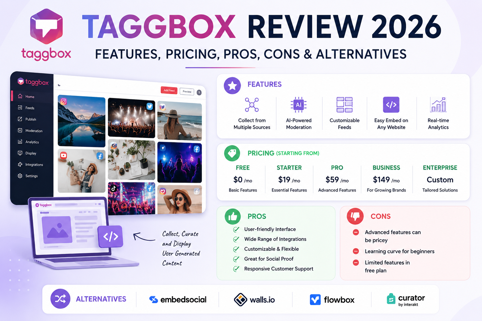 Taggbox Review